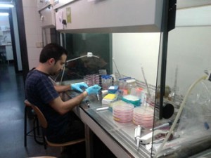Research Cannabinoids Cancer Remission